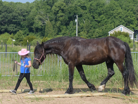 Young lady in pink cowboy hat leads a horse